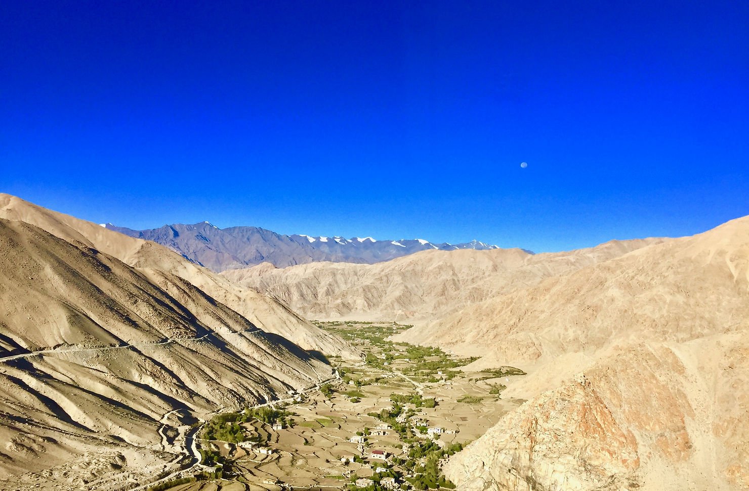 Vista aerea delle montagne dell'Himalaya con foreste verdi