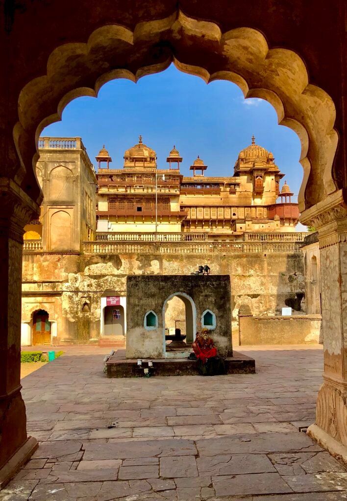 Viaggi In India