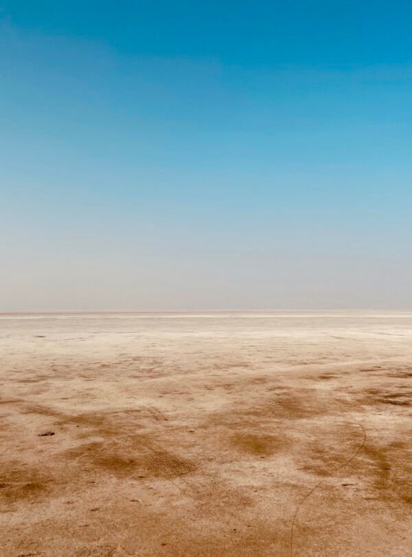 viaggio in Gujarat
