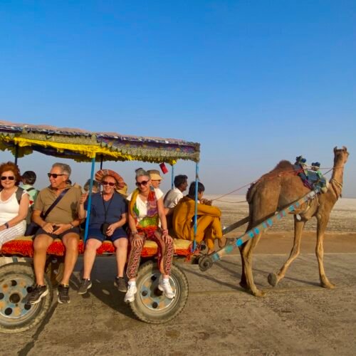 viaggio in Gujarat