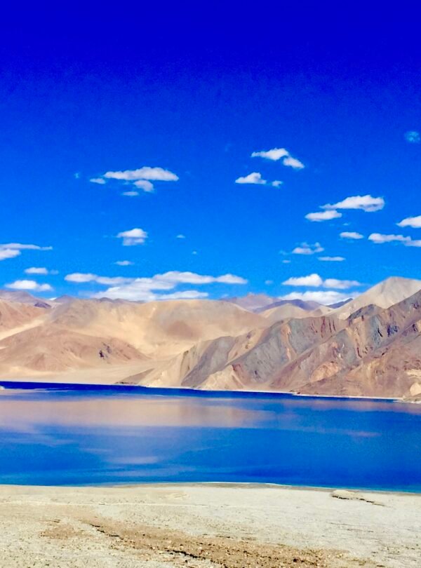 Viaggio in Ladakh tra Nubra Valley e Lago Pangong