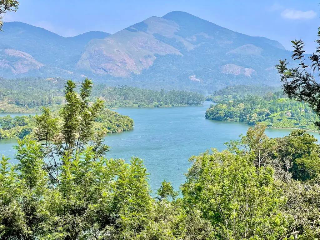 Tour del Kerala tra natura e backwaters