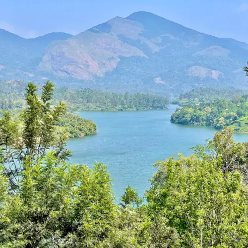 Tour del Kerala tra natura e backwaters