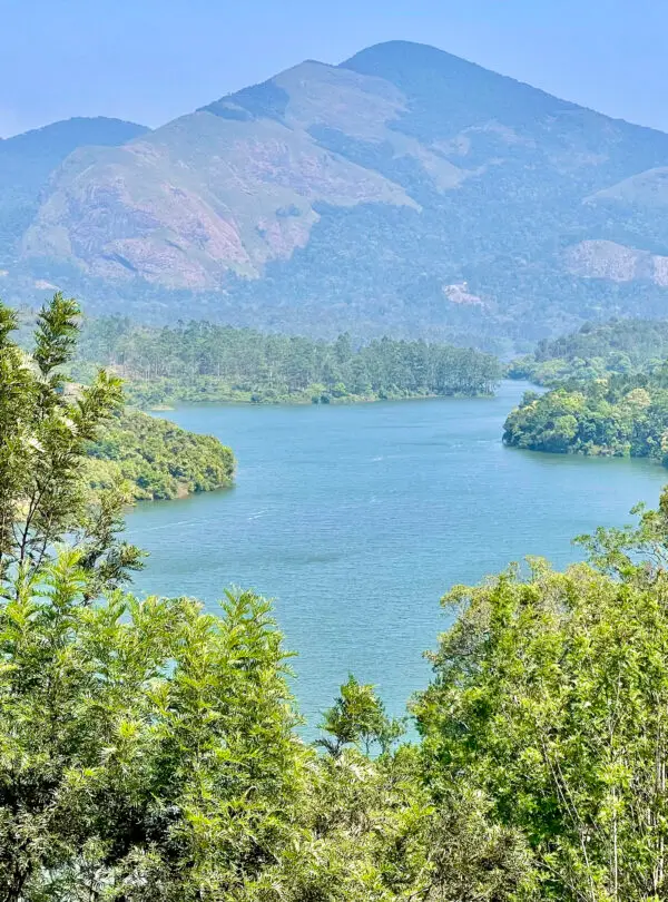 Tour del Kerala tra natura e backwaters