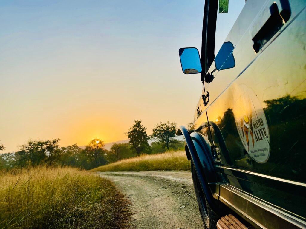 Jeep safari in Ranthambore