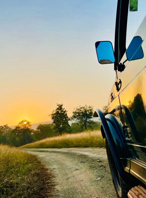 Jeep safari in Ranthambore