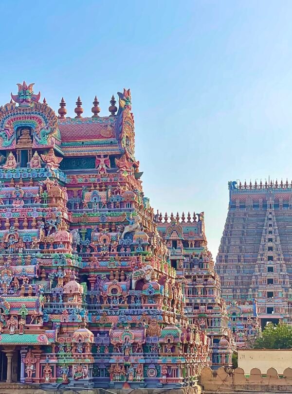 viaggio India del Sud
