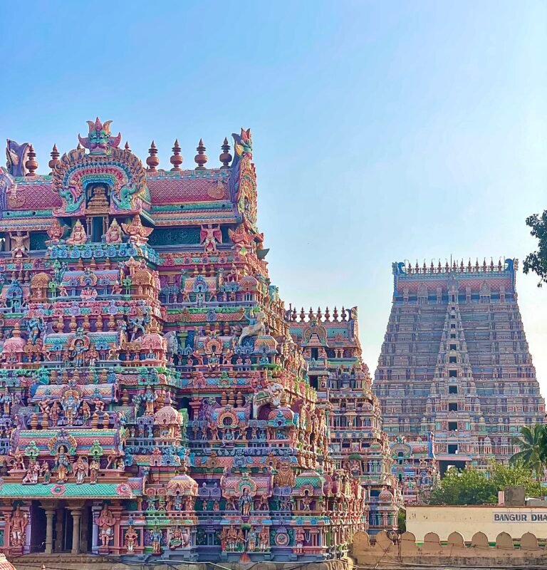 viaggio India del Sud