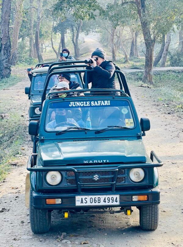 Safari e natura